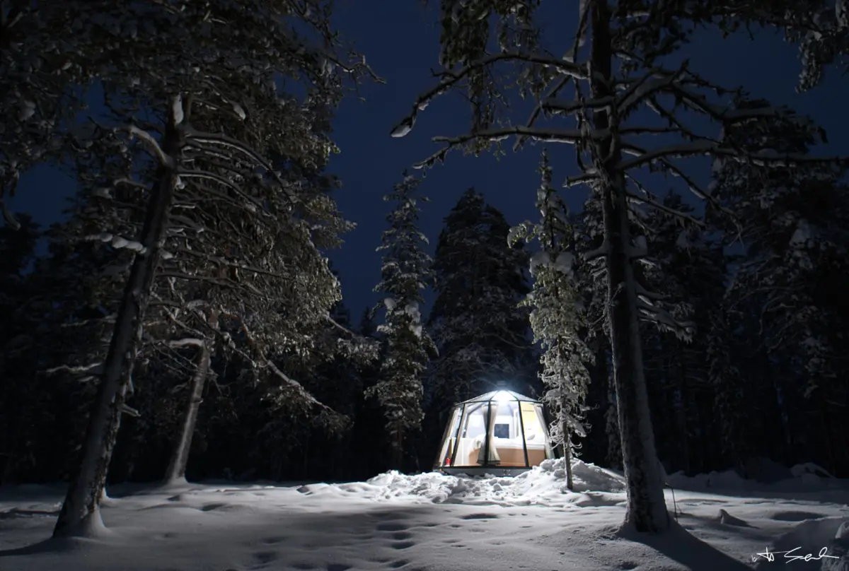 Zelt im Winterwald bei Nacht