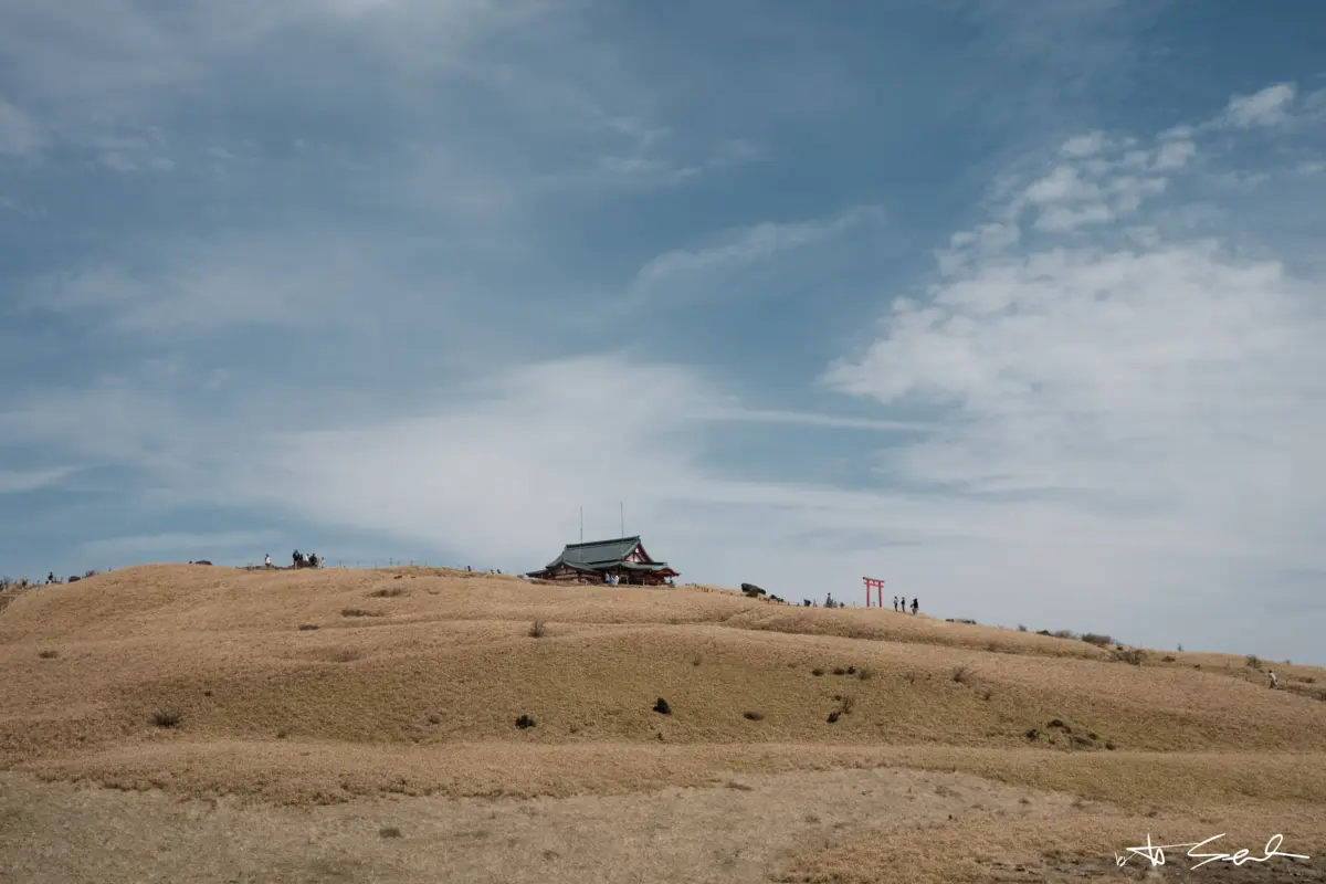 Kleiner Schrein mit Torii auf einem kahlen, grasbewachsenen Hügel