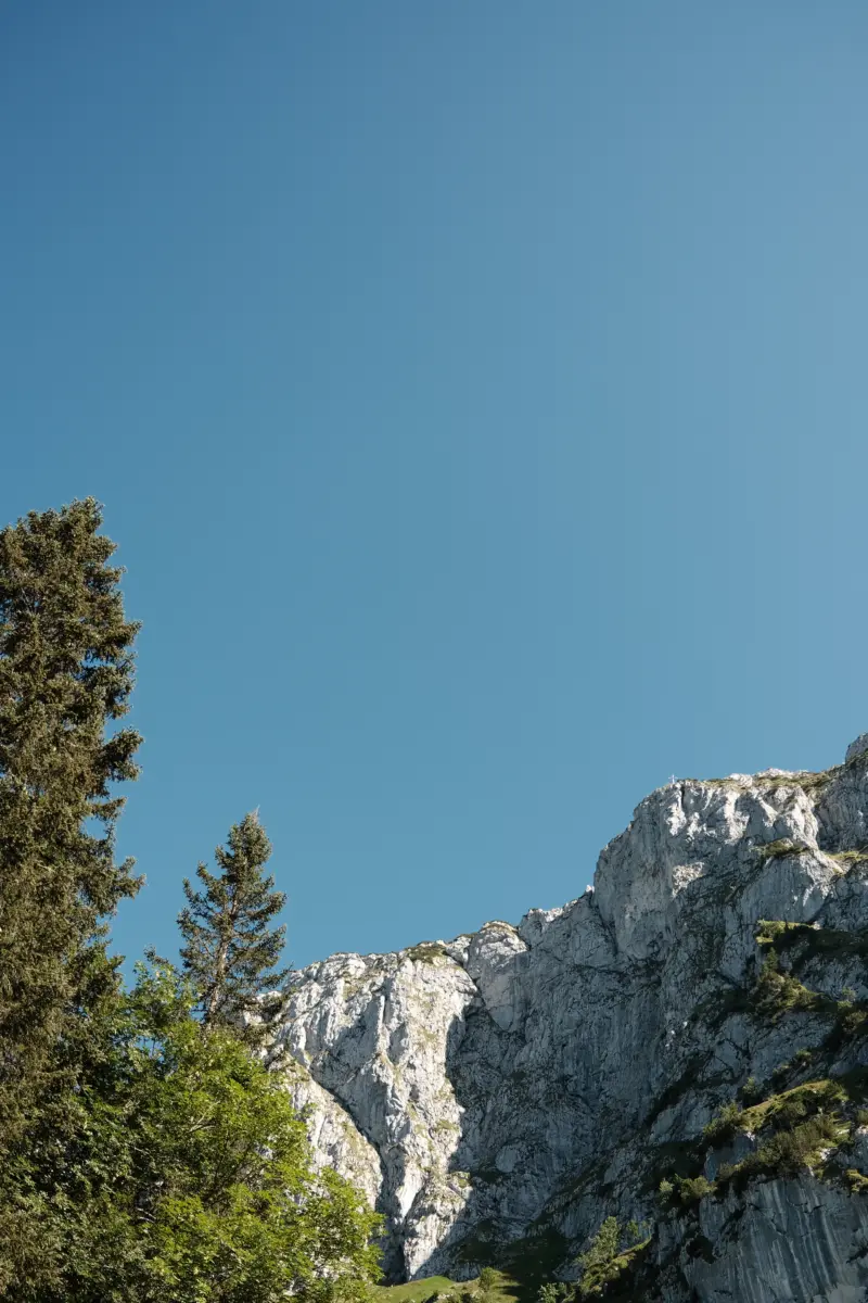 Kalkfelsen und Bäume vor blauem Himmel