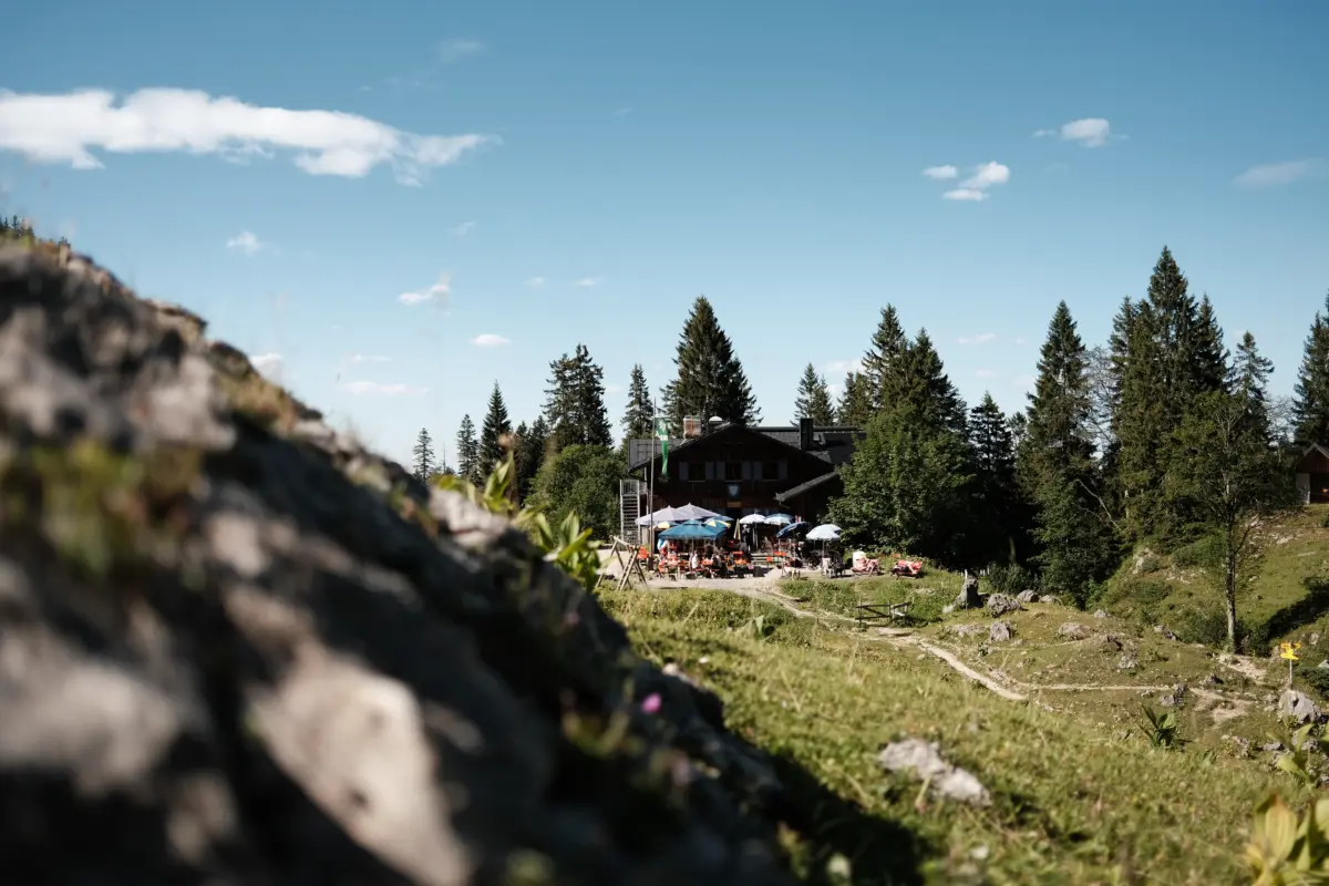 Berghütte hinter Felsen und Nadelbäumen