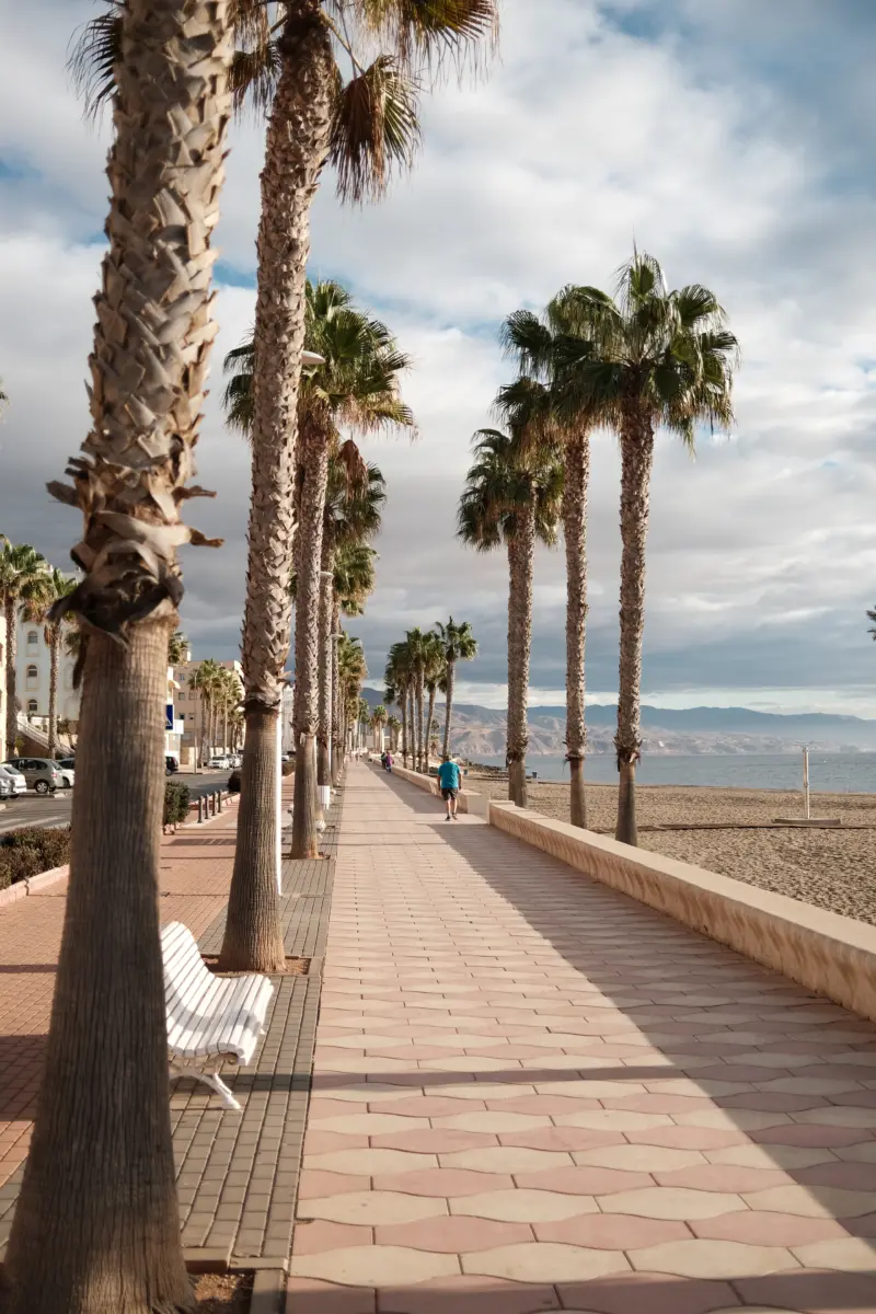 Strandpromenade mit Palmen und Bänken