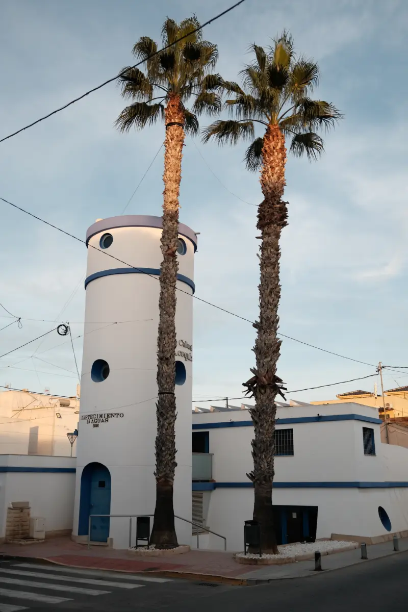 Weiß-blauer Turm zwischen zwei hohen Palmen
